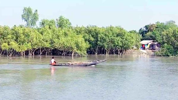 মুক্তিপণের জন্য সুন্দরবনে ফের জেলে অপহরণ - আতঙ্কে বনজীবীরা
